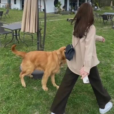 张震讲故事海报